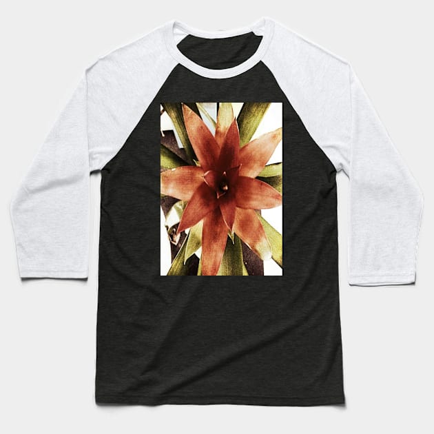 Star Plant Baseball T-Shirt by DomaDART